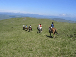  En el campo 